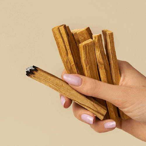 Buy Palo Santo bâtons sacré du Pérou - Sticks wood
